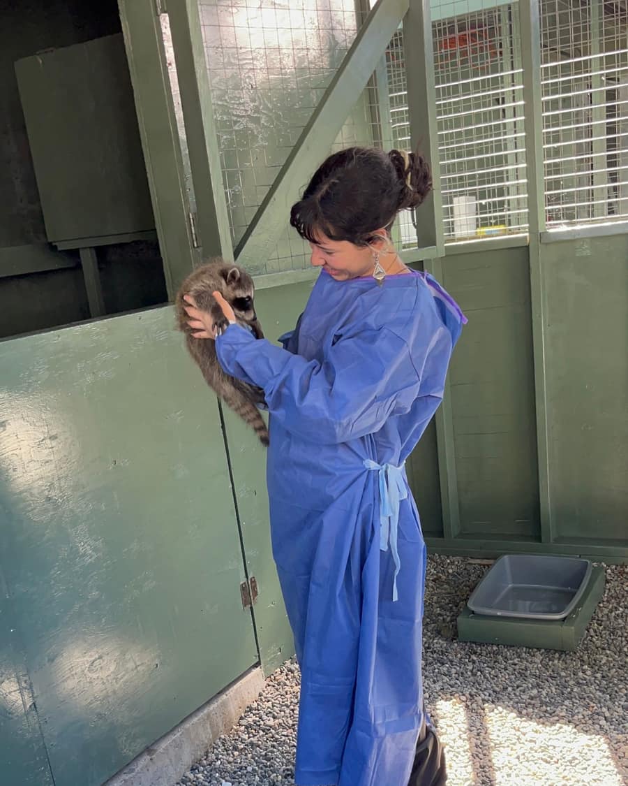 Eli Vera cuidando crías de mapache en un centro de rehabilitación de fauna
