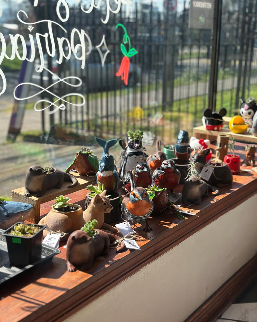 Maceteros de Fauna y RaĂz exhibidos en una tienda